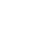 play icon
