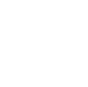 previous icon